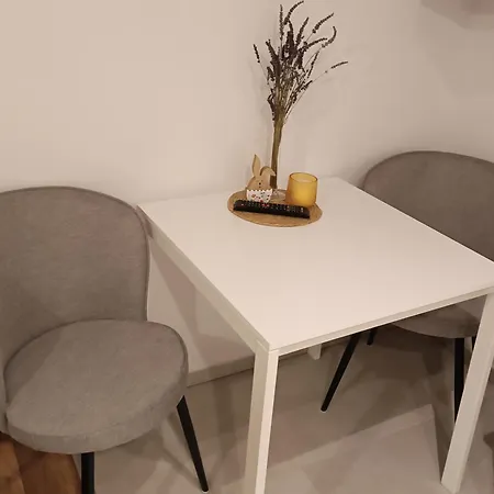 Nowoczesne Mieszkanie W Centrum Miasta *
